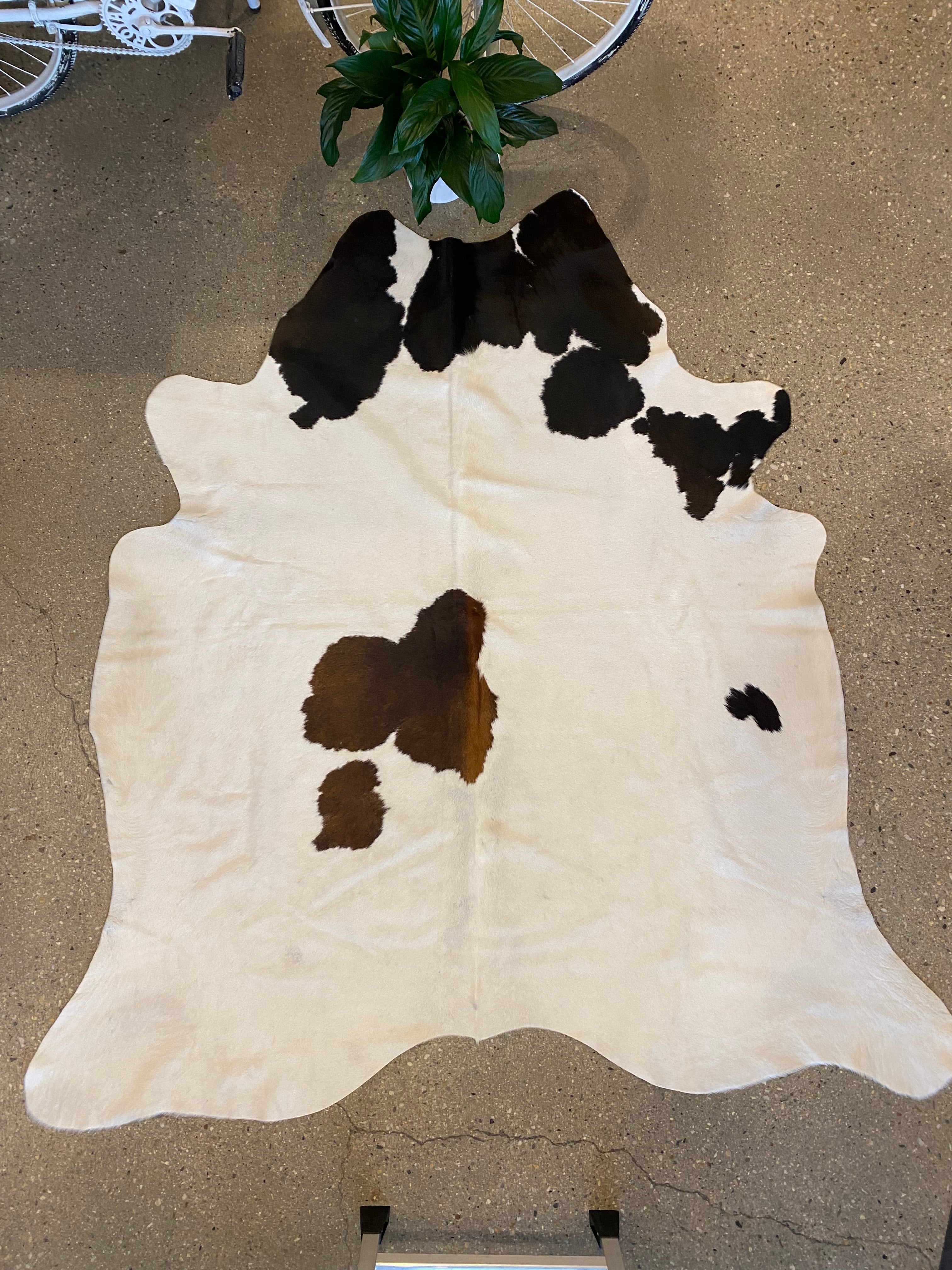 Cowhide Rug - White with Brown + Black