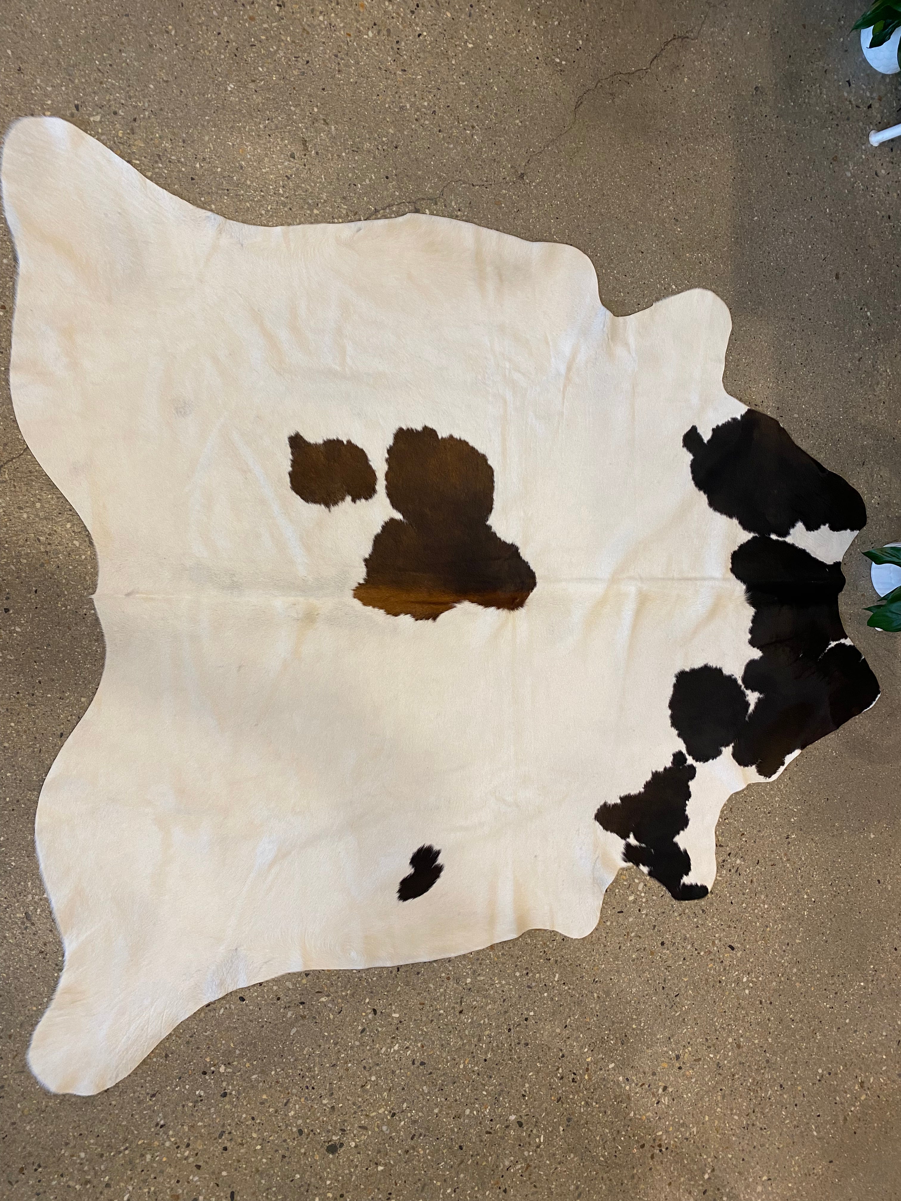 Cowhide Rug - White with Brown + Black