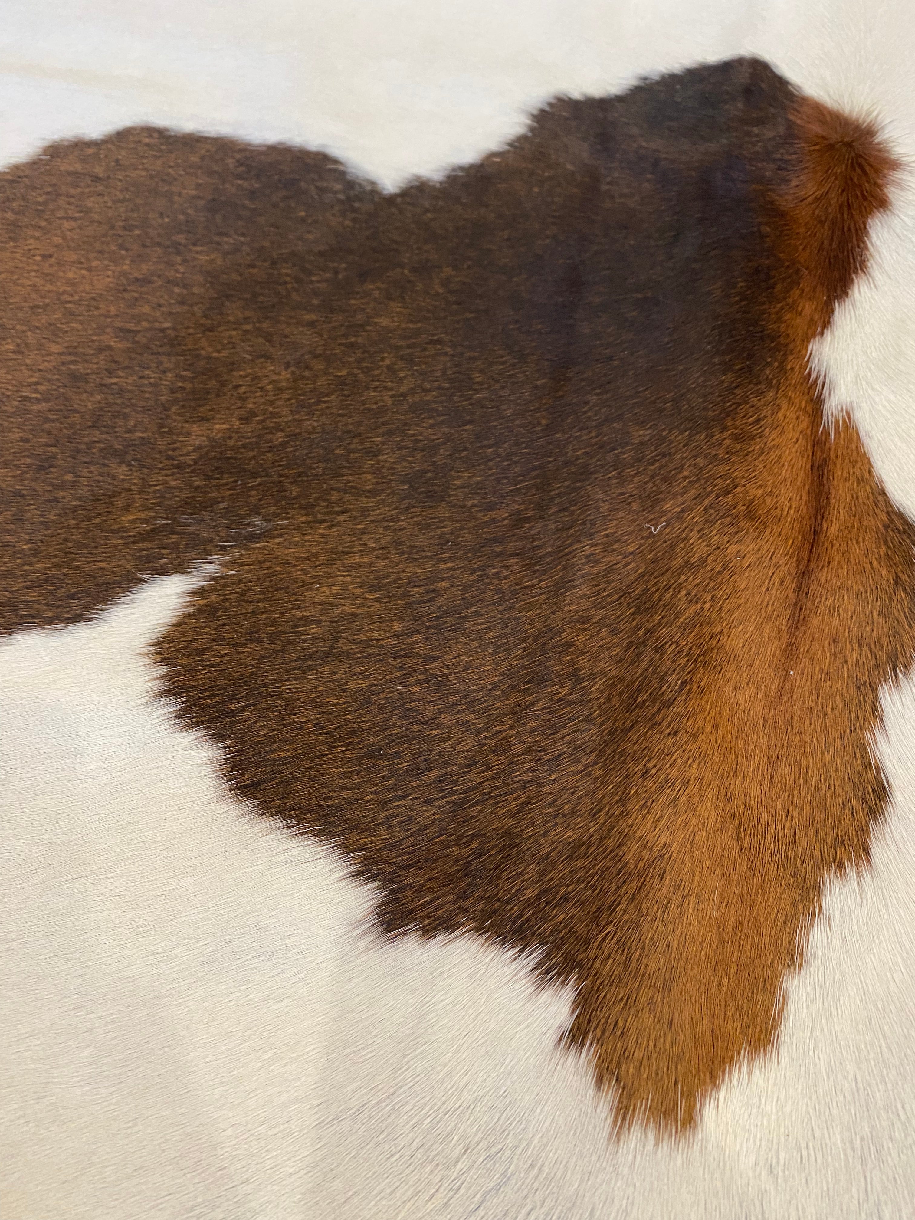 Cowhide Rug - White with Brown + Black